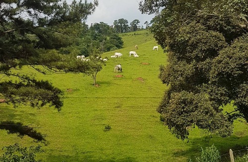 Cabreuva Cottage | Site with excellent infrastructure, paved access and leisure options.