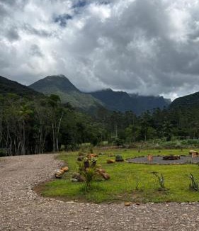 Timbe do Sul Cabin | Sombra do baú -Luar