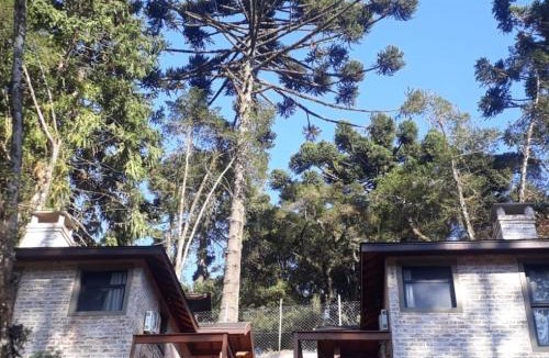 Monte Verde Ski Chalet | Villa Pinhas e Flores