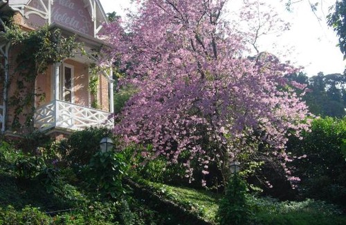Petropolis House | Villa Violeta
