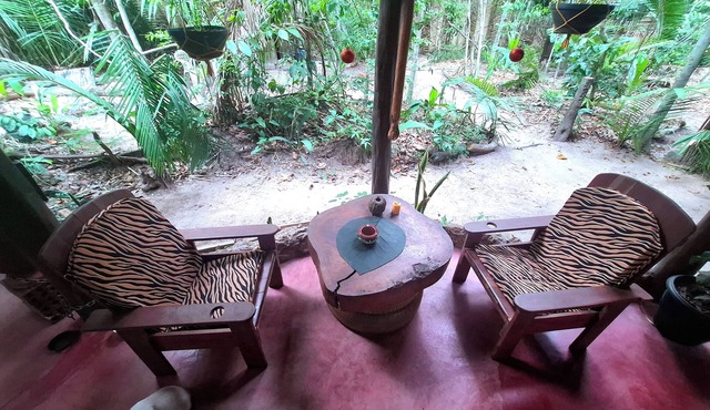 A tortoise's house in an Enchanted Forest. Reconnect in Alter do Chão