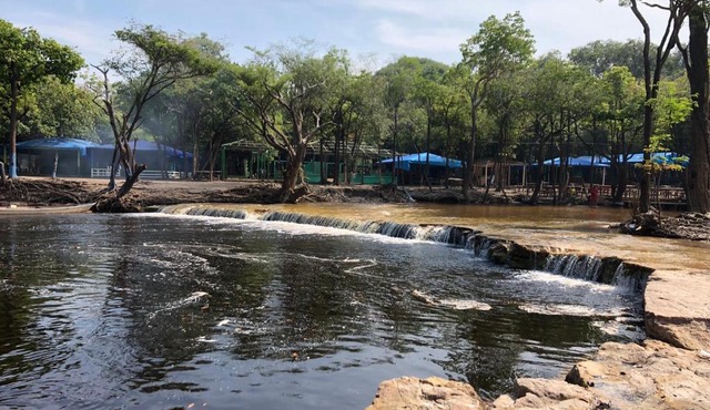 Amazonas Eco Tour - Private Jungle Tour, River Tour or Great Adventure TOUR INCLUDED ONLY IN DELUXE ROOMS in Iranduba