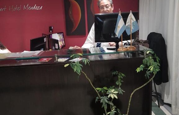 Apart Hotel Mendoza in Mendoza
