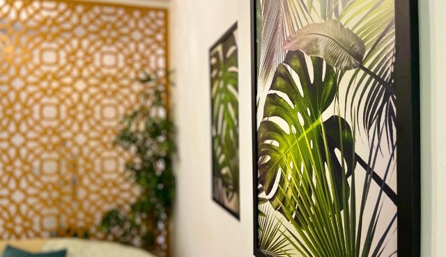 Apartamento dos Sonhos - Centro BC