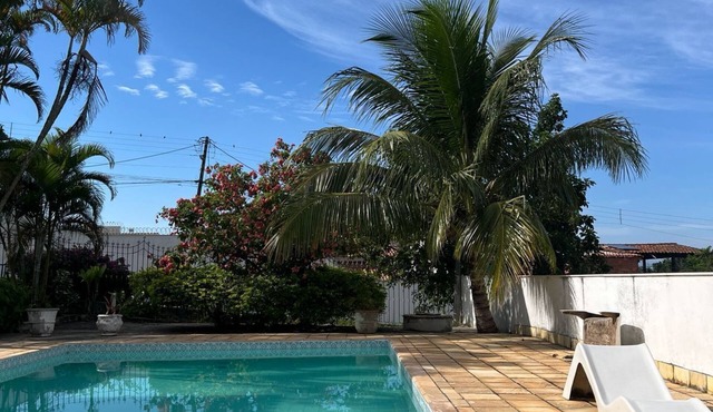 Araruama Coconut Tree Corner