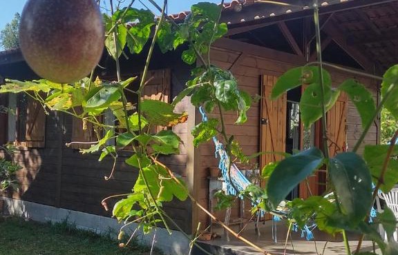Bangalô Kontiki in Florianópolis