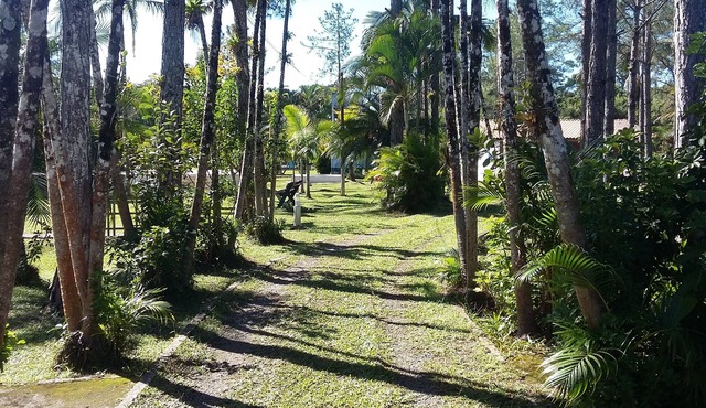 BARRETINHO'S FARM. PURE LEISURE! A MIX OF BEACH AND COUNTRY LIFE, LOTS OF FUN.
