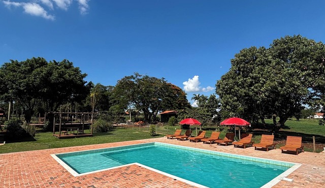 Beautiful horse farm near São Paulo. in SP