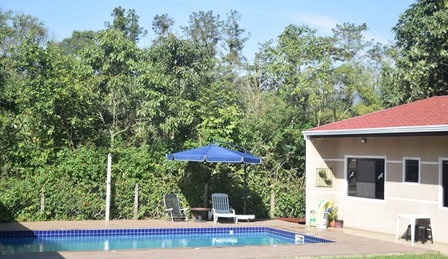 Beautiful house! Enjoy nature and cool off in the pool.