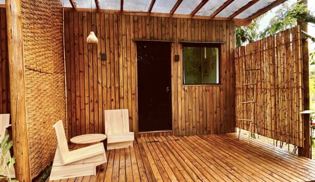 Bromeliad Suite