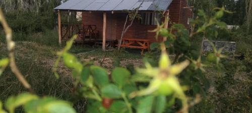 Cabaña La 40 "Relax y descanso en zona de chacras" in Buta Ranquil
