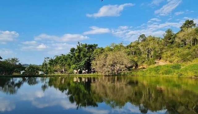 Camboas Atlantic Forest Country House