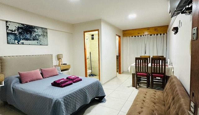 Central loft. in Mendoza