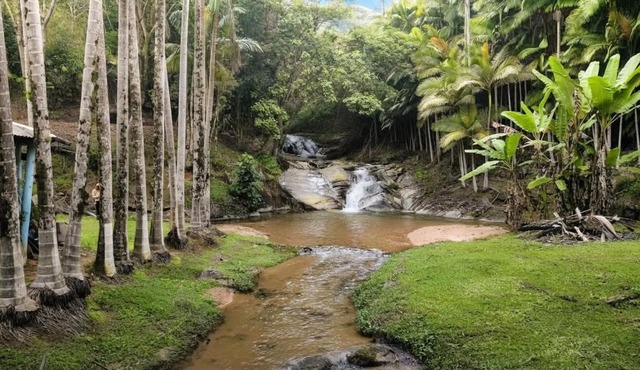 Chale com Riacho e Cachoeira Privativa Nova Trento