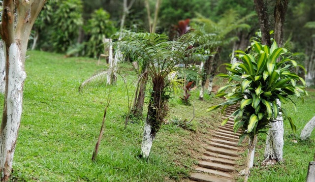 Country house with swimming pool, barbecue area and lots of greenery.
