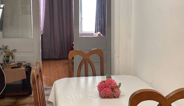 Cozy Apartment in the Historic Center of Porto Alegre