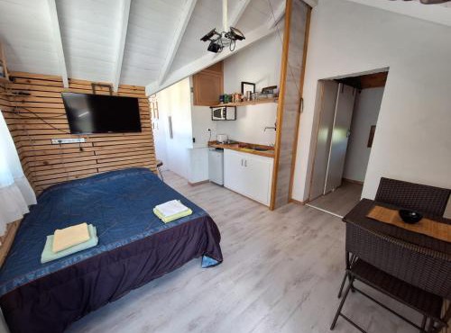 Cozy mono SMA in San Martín de los Andes