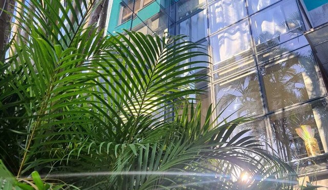 Emerald House is authenticity, beauty, privacy, intimate connection with nature.