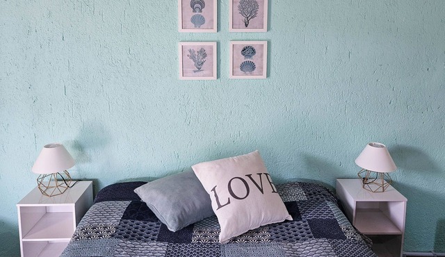 Floripa - Studio in Barra 5 minutes from the canal! Close to Praia Mole and Galheta.