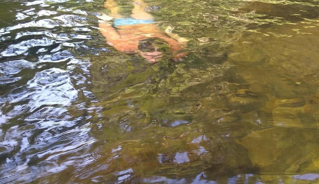 Family Itamambuca: Edícula, pool and waterfall in Ubatuba
