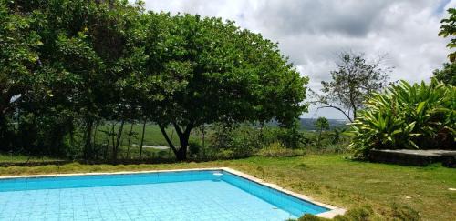 FAZENDA BOSQUE DAs PALMEIRAS in Itamaracá