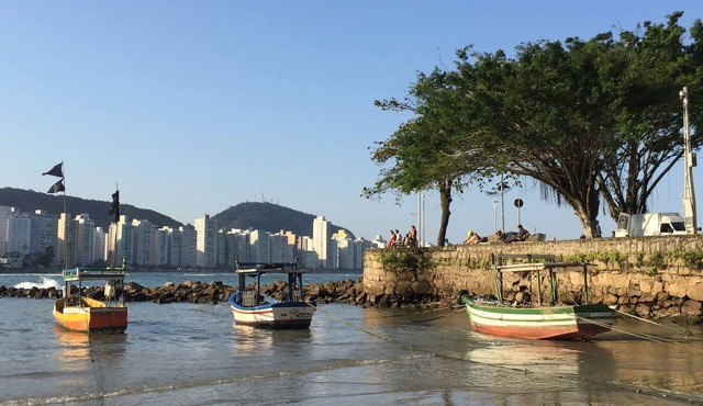 FIT GUARUJA WITH POOL 100 m. FROM BEACH