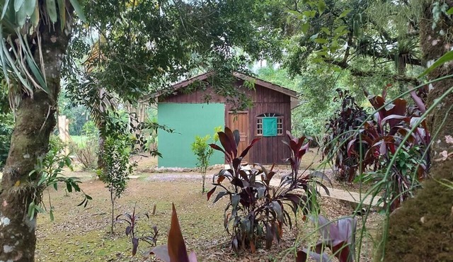 Forest Retreat for 5 at an Ecolodge in Morretes