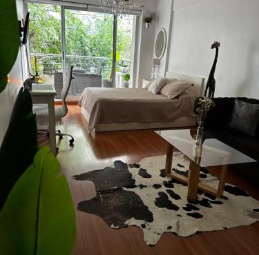 Hermoso Monoambiente en Belgrano Buenos Aires in Buenos Aires