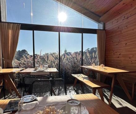 Hotel Pico 16