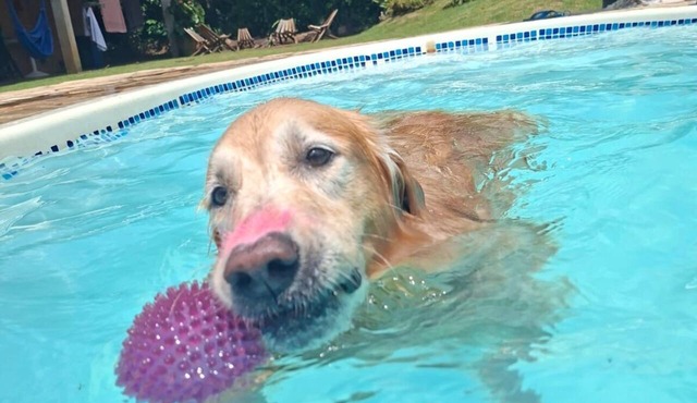 House with Fireplace and Pool, Home Office, Pet Friendly