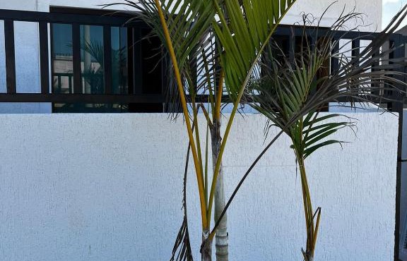 Meu Loft Barra Nova 4 in Saquarema
