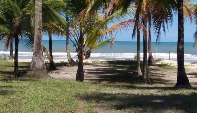 Next Sierra Grande , beaches, trihas p paradizíacas beaches, waterfall Tijuipe in Itacare