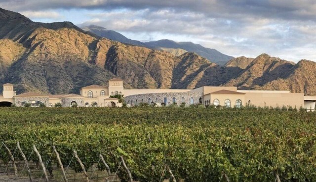 Piattelli Wine Resort in Cafayate