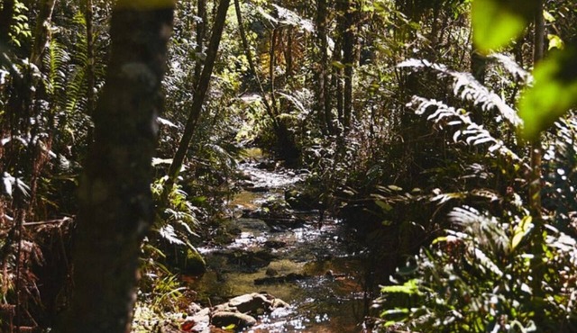 Pousada do Cedro in Santo Antônio do Pinhal