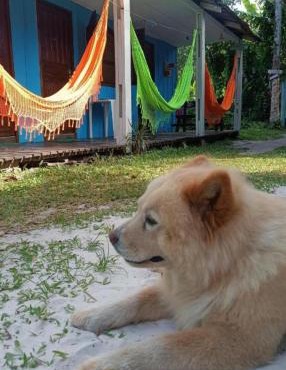 Pousada e Camping Rhaiana