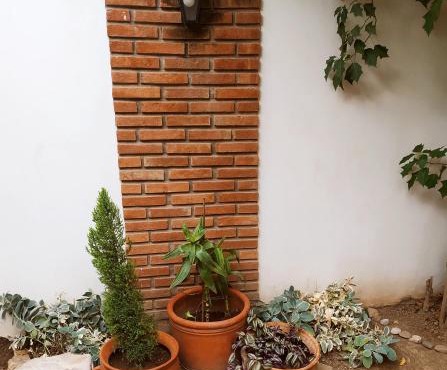 Puñadito de descanso in Salta