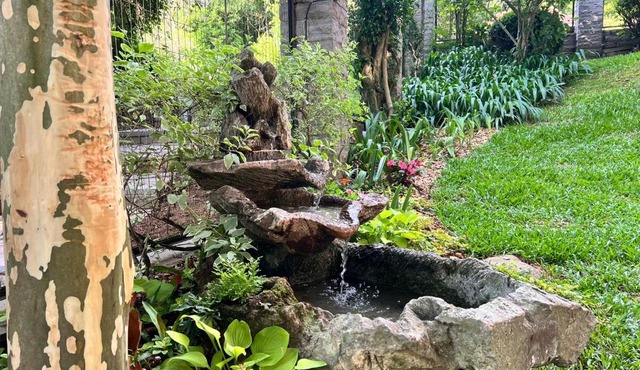 Refúgio da Floresta N3gra