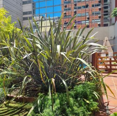 Suipacha Exclusive Apart in Buenos Aires
