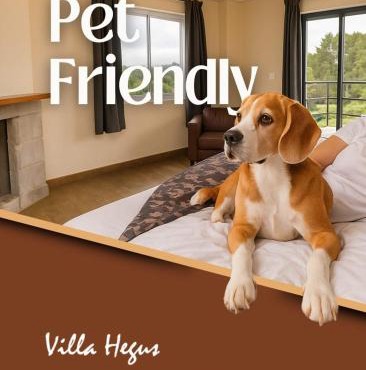 Suites e Chales petfriendly com ar, hidro e lareira in Campos do Jordão