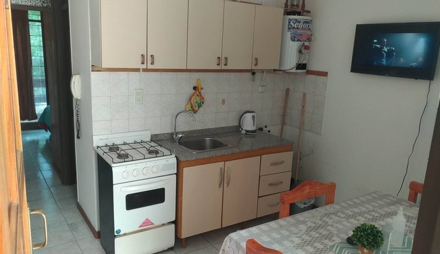 THE FIFTH APARTMENT IS LOCATED, 2 BLOCKS FROM THE GENERAL SAN MARTIN PARK. in Mendoza