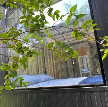 Tree House