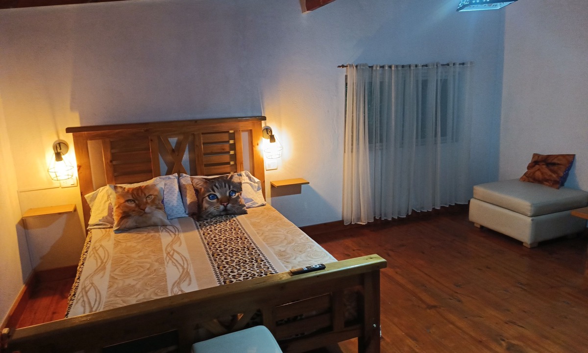 Mar del Plata House | House for rent in mar del plata, per day, per week or per fortnight