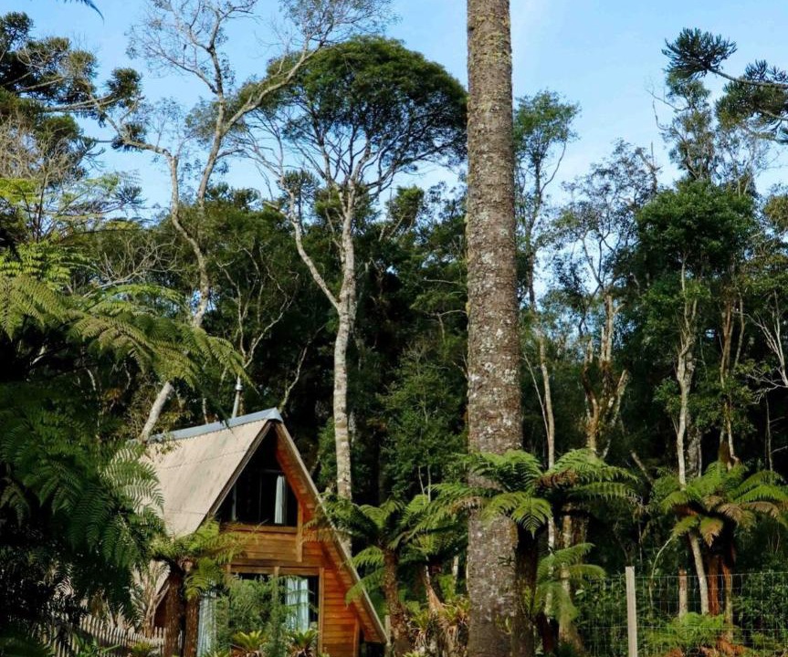 Sao Francisco de Paula Ski Chalet | Recanto dos Xaxins