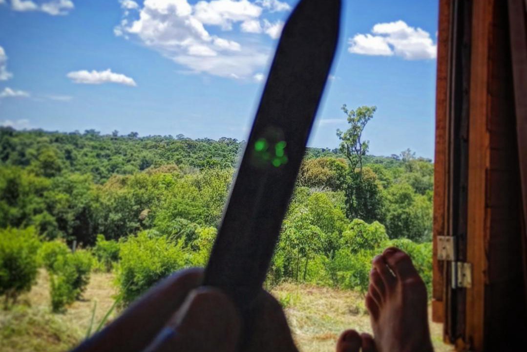 Puerto Iguazu Resort | Curiango Birding Camp