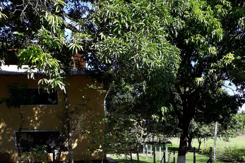 Photo of Outdoor in Camurugi