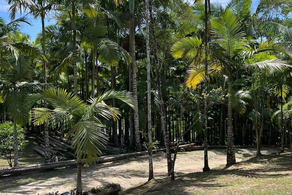 Photo of Patio Balcony in Camboriu