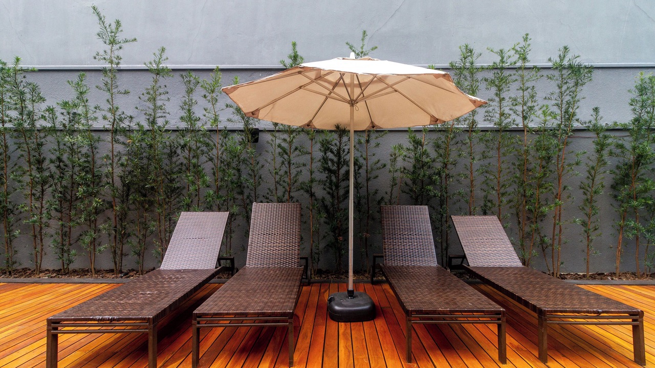 Photo of Outdoor in Santa Cecilia