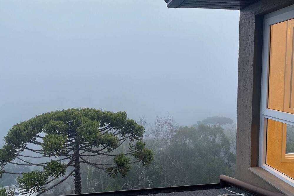 Photo of Others in Floresta