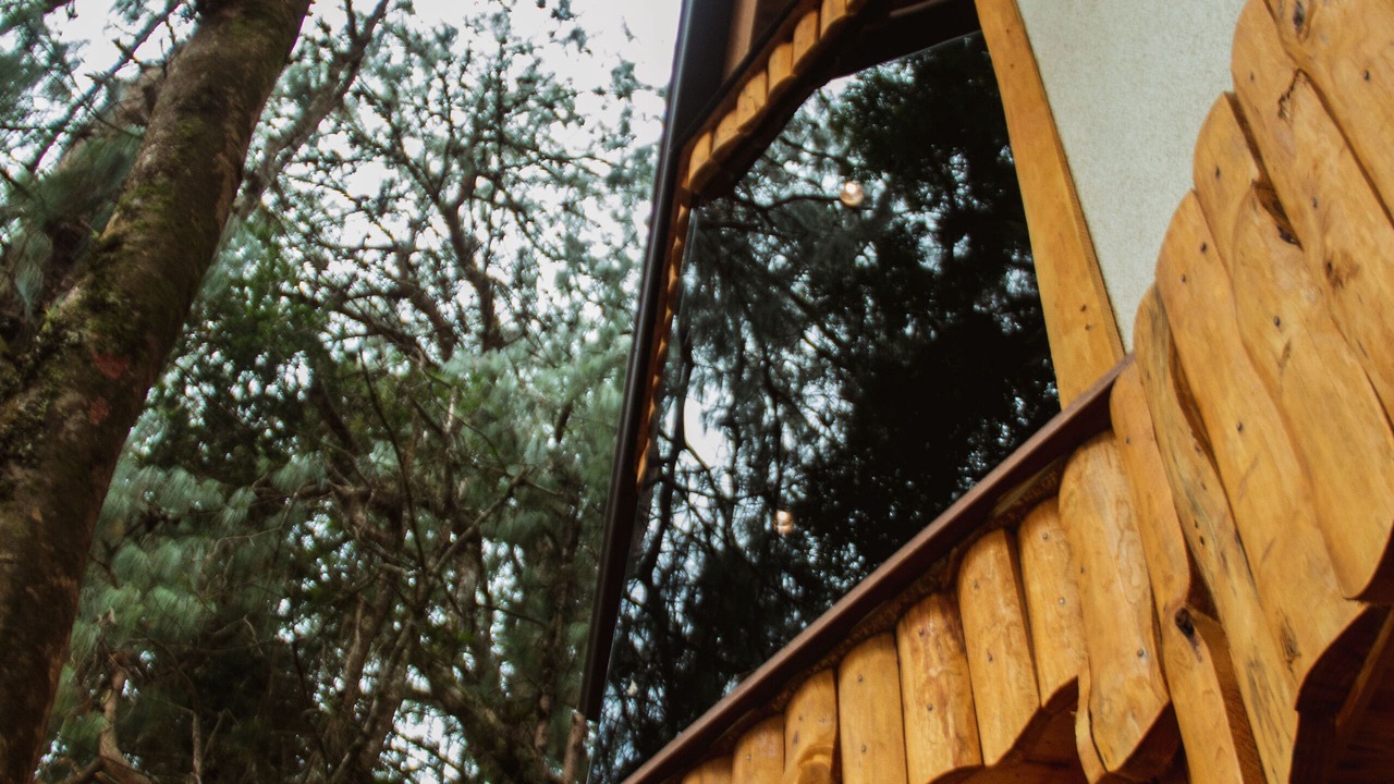 Photo of Outdoor in Monte Verde