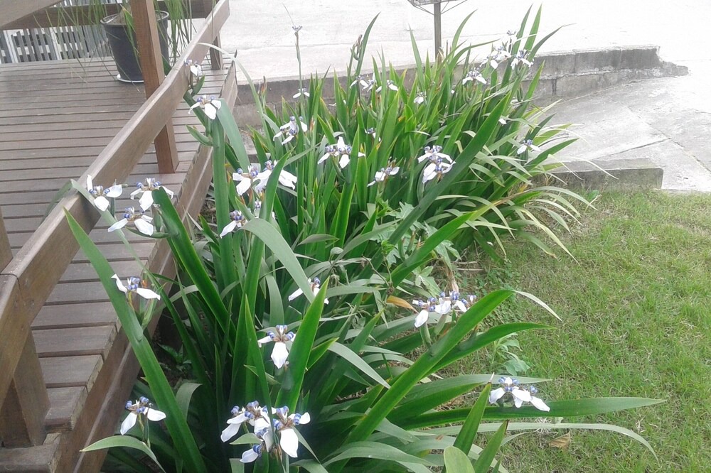 Photo of Outdoor in Jardim das Avenidas